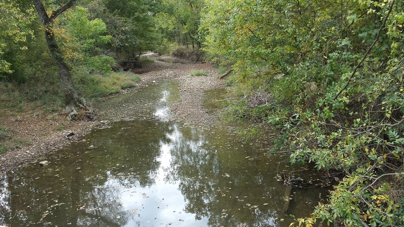 Stream in Wooded Area — Green, Serene, Autumn, Photograph, Trees, River