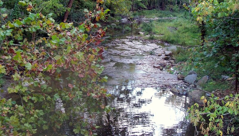 Stream in Wooded Area — Green, Serene, Autumn