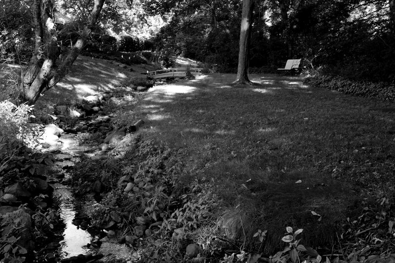 Stream in Wooded Garden