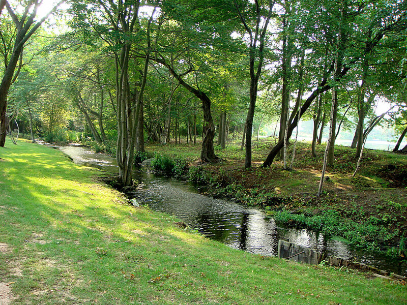 Stream in Wooded Park — Green