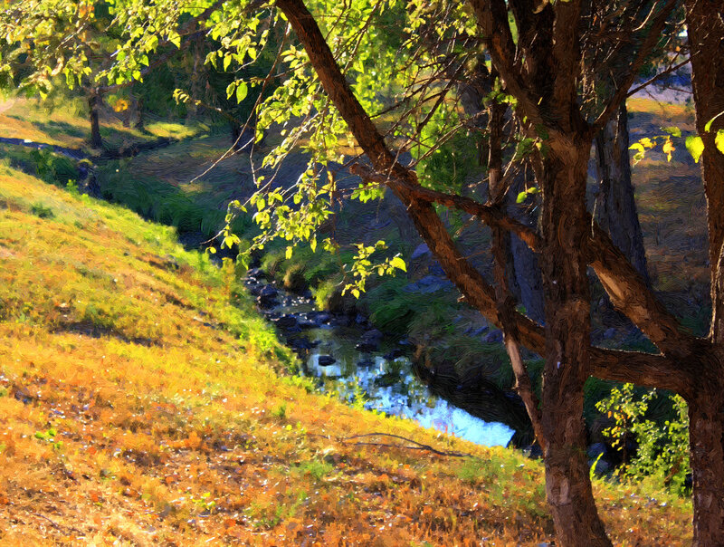 Stream in Wooded Valley