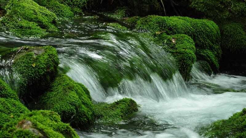 Stream over Mossy Rocks — Green, Serene