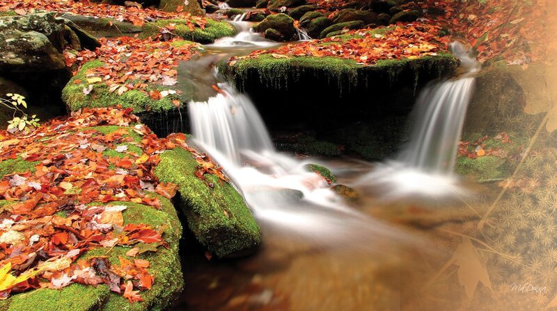 Stream over Mossy Rocks — Green