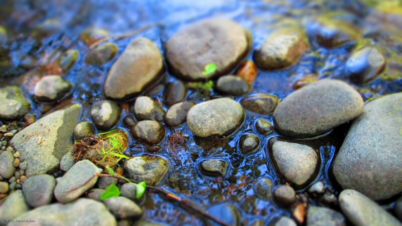 Stream Rocks and Water