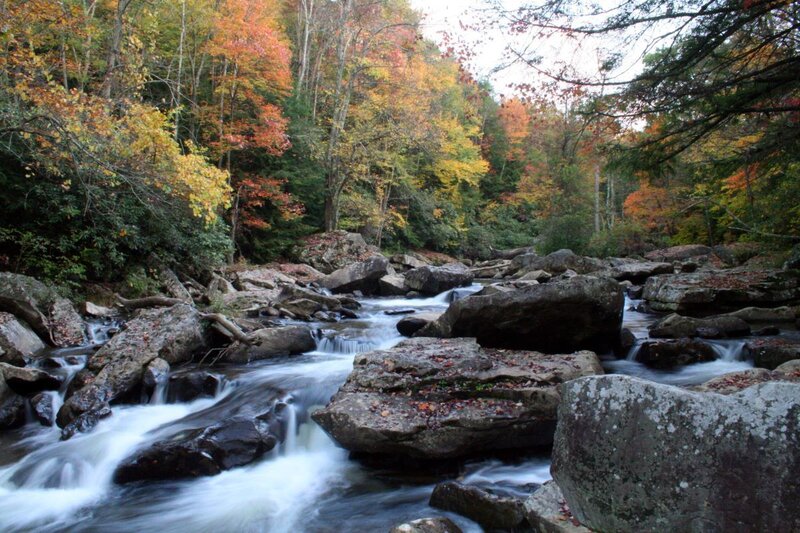 Stream Through Autumn Forest — Green
