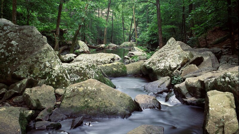 Stream Through Forest Rocks — Green, Serene, Afternoon, Photograph