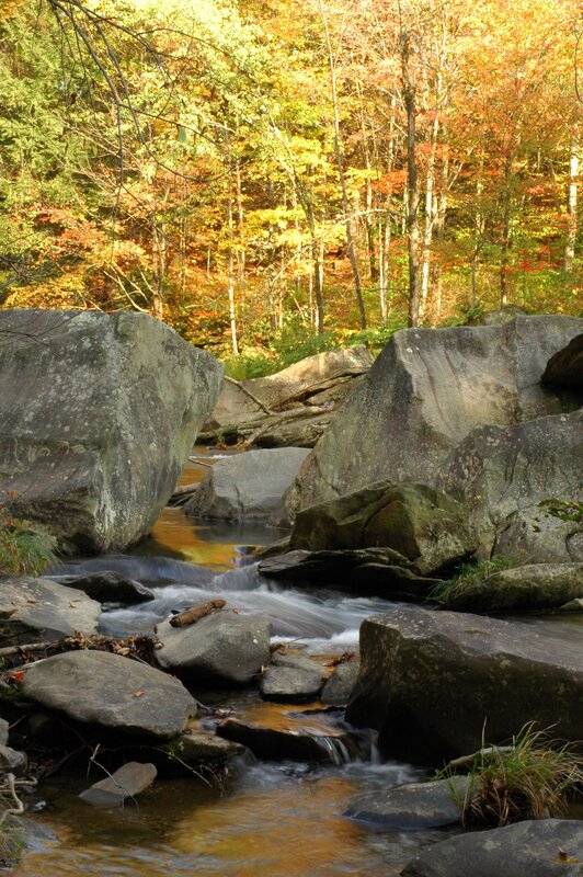 Stream Through Forest Rocks — Green, Serene