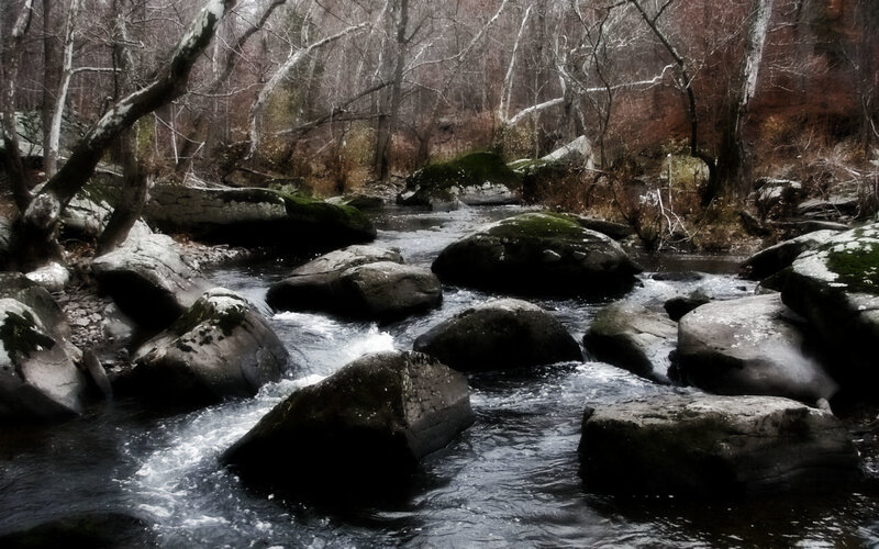 Stream through forest rocks