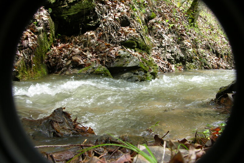stream through forest view