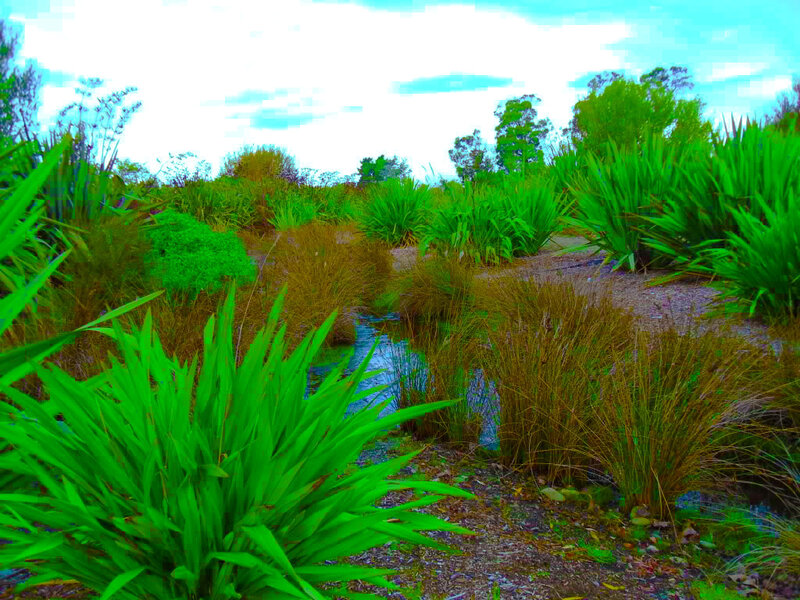 Stream Through Garden Plants