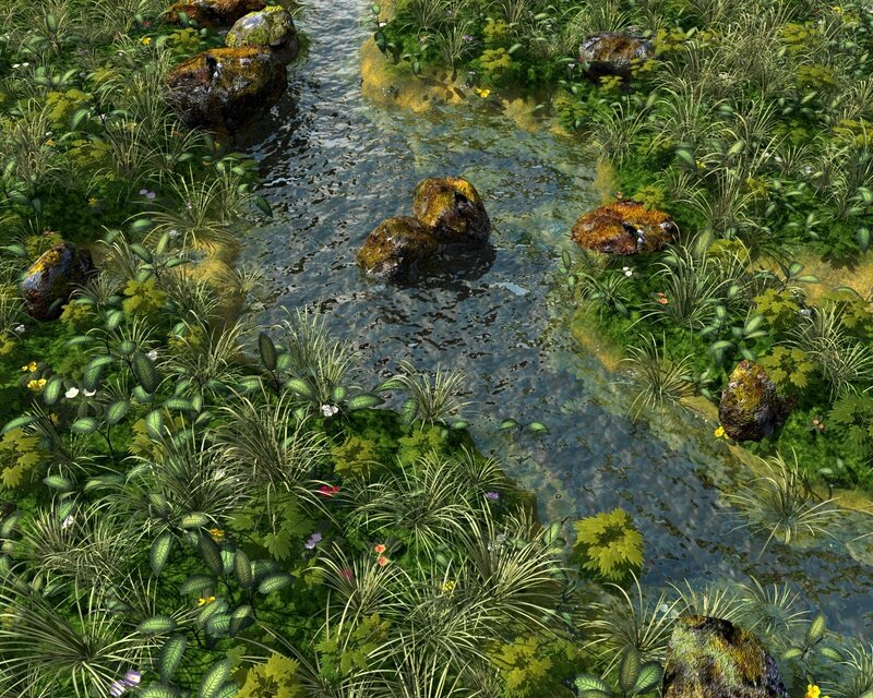 Stream through lush greenery