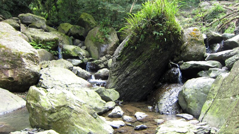 Stream Through Mossy Rocks