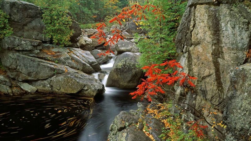 Stream Through Rocky Forest