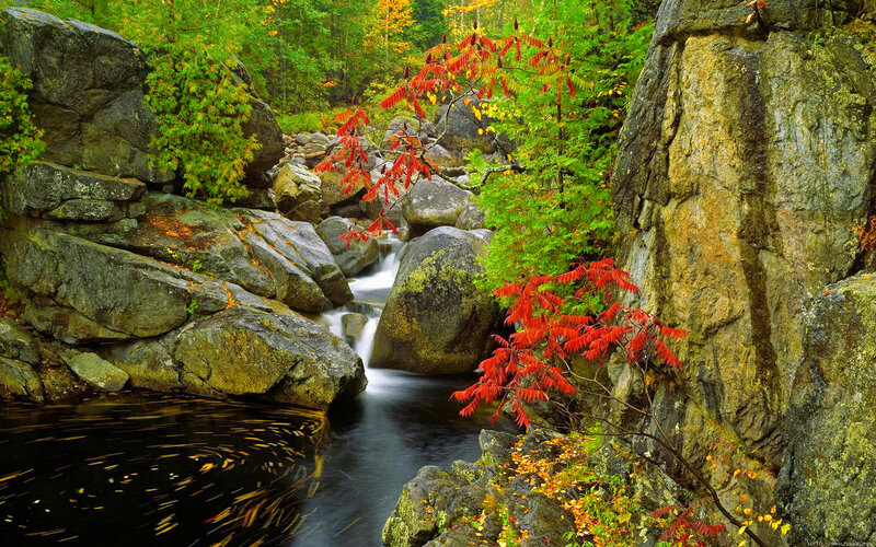 Stream Through Rocky Gorge — Green