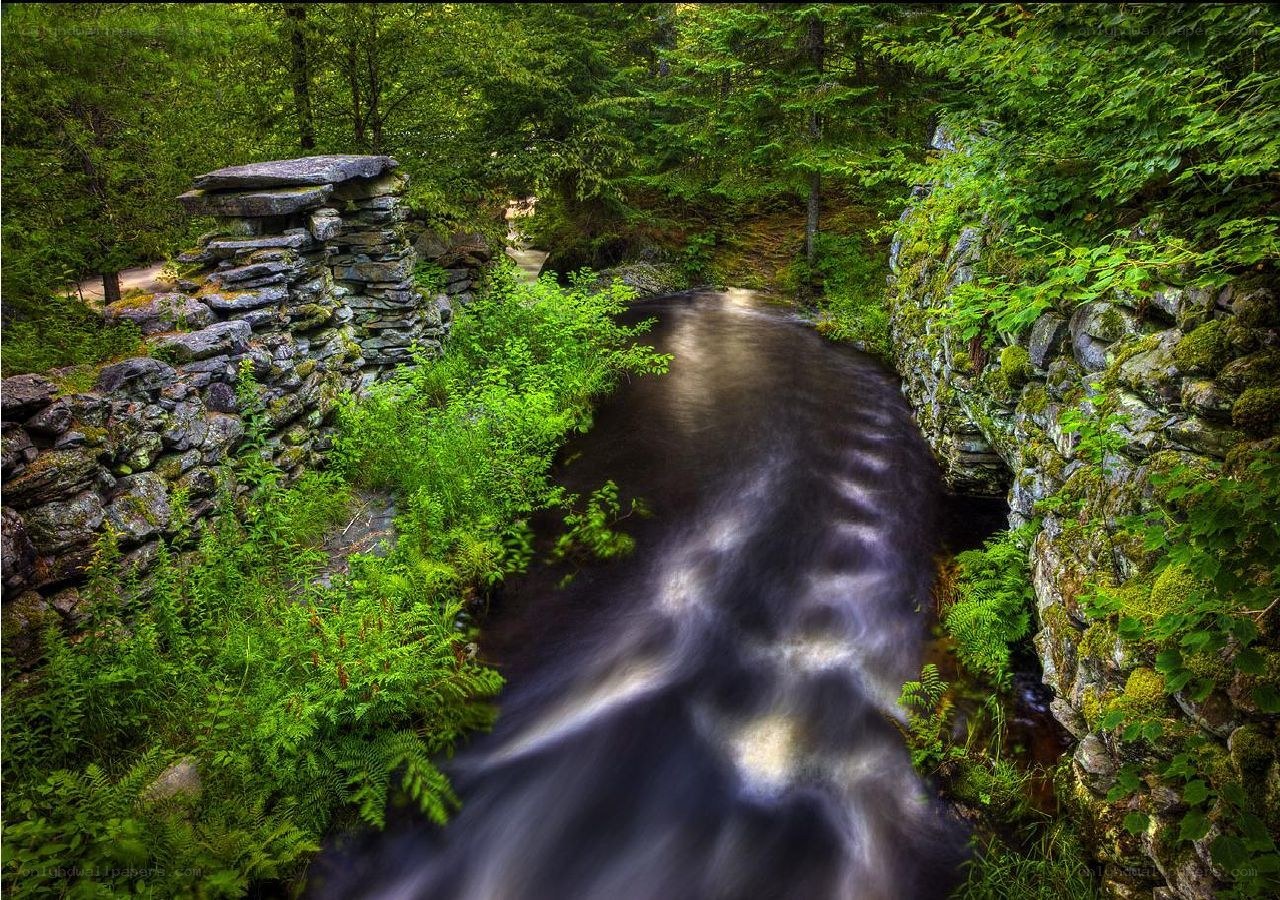 Stream through stone walls in forest