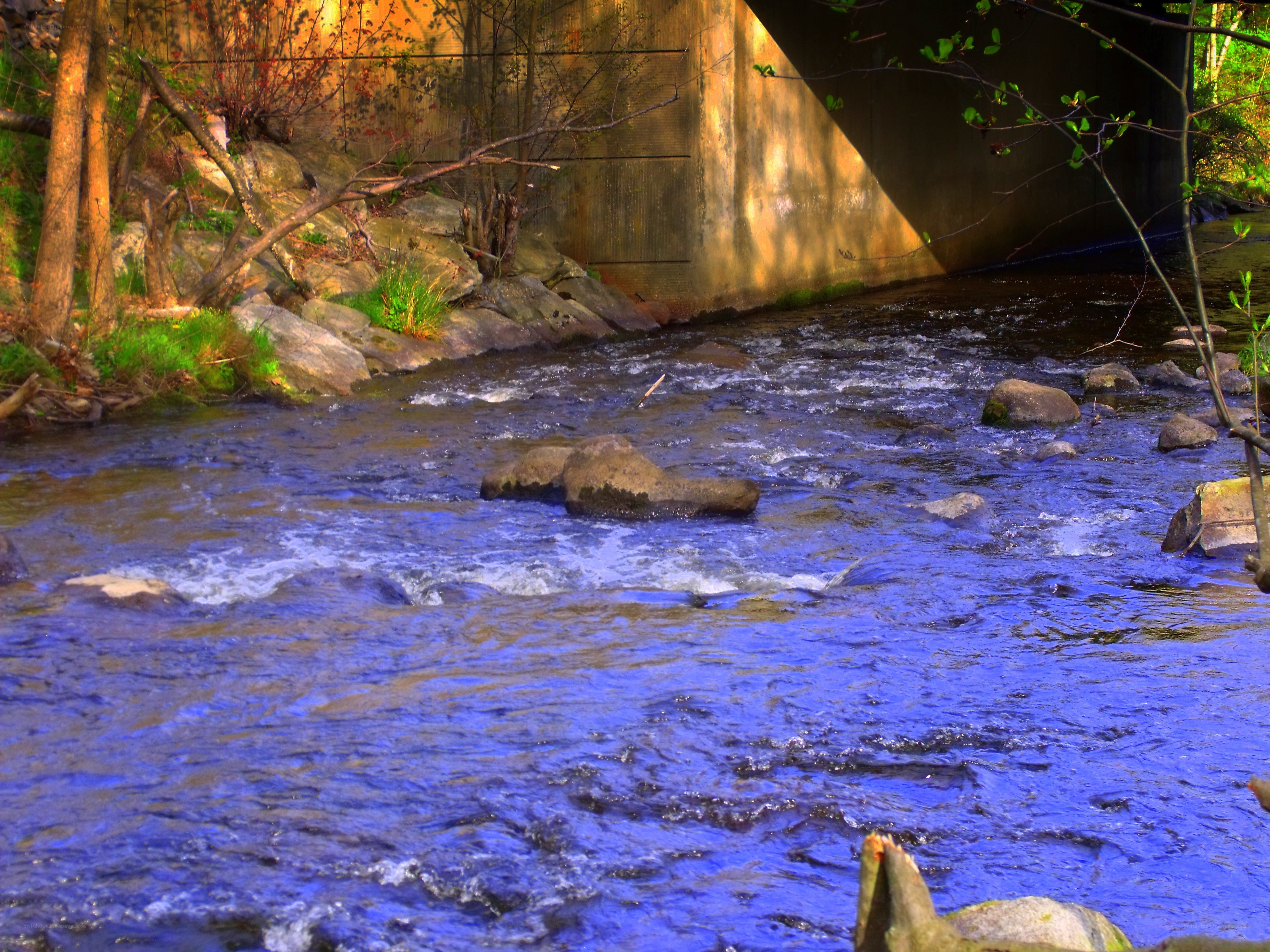 Stream under a bridge