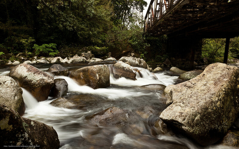 Stream under a bridge