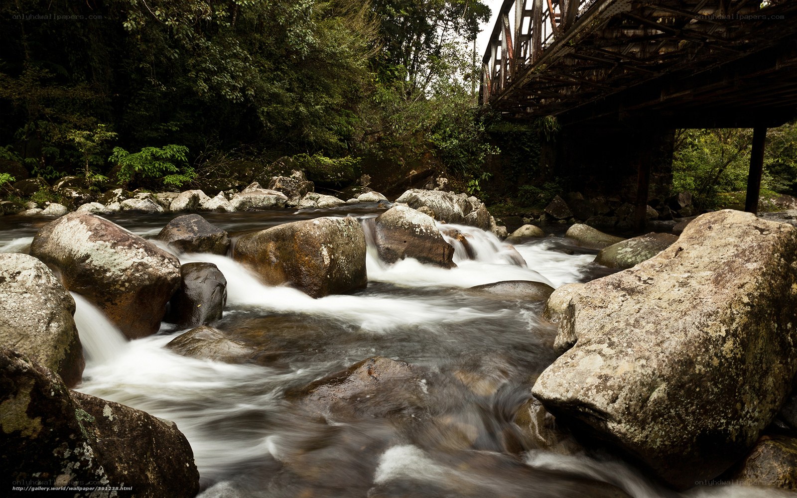 Stream under a bridge