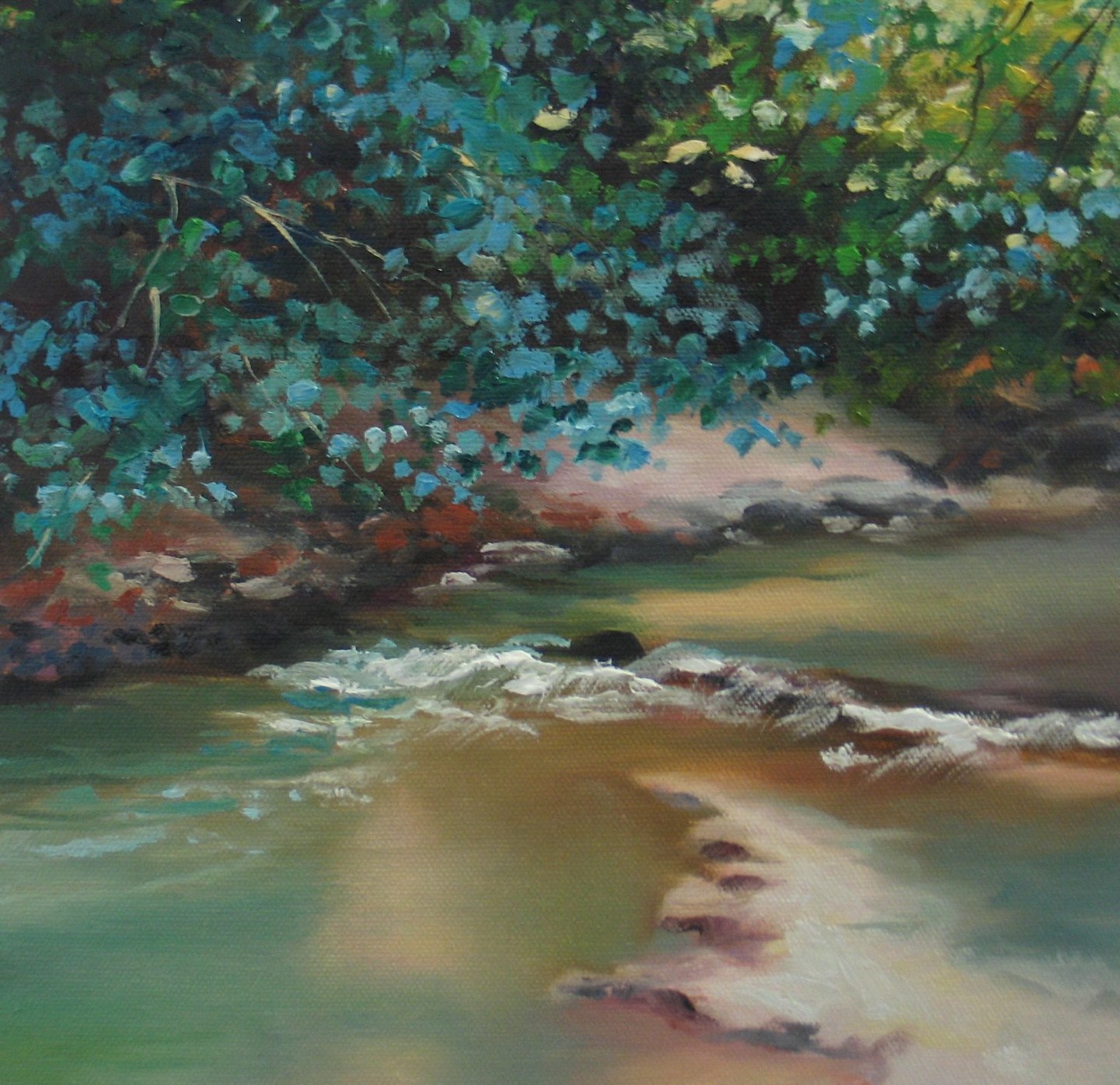 Stream under leafy canopy