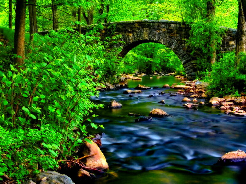 Stream under Stone Bridge — Green, Serene, Afternoon
