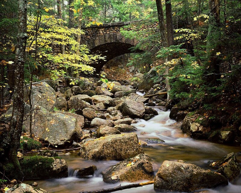 Stream under Stone Bridge — Green, Serene, Autumn, Photograph, Forest