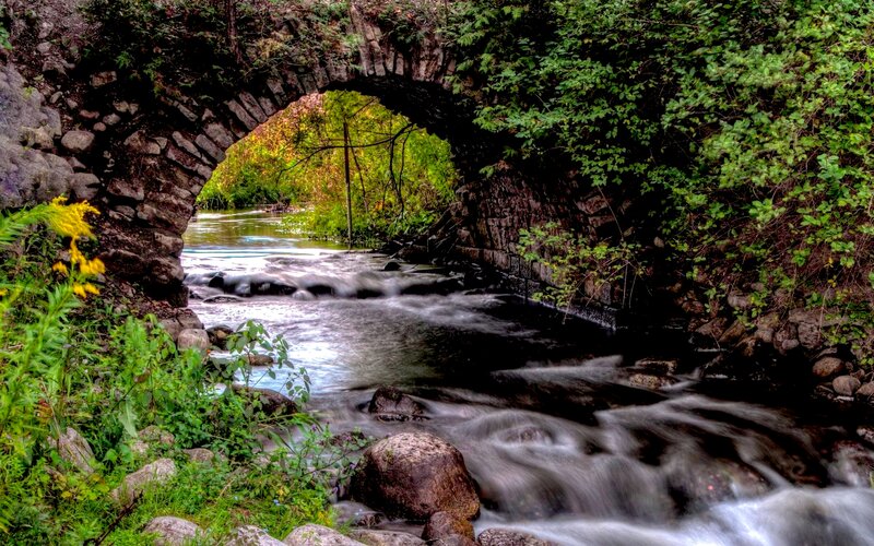 Stream under Stone Bridge — Green, Serene, Autumn, Photograph