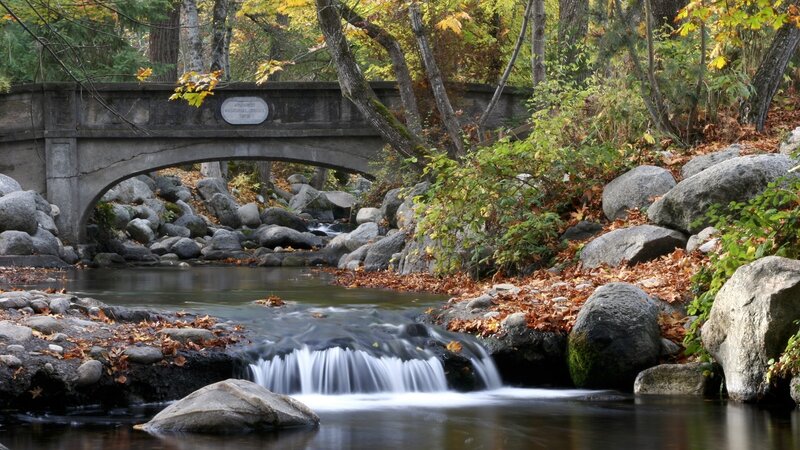 Stream under Stone Bridge — Green, Serene, Autumn