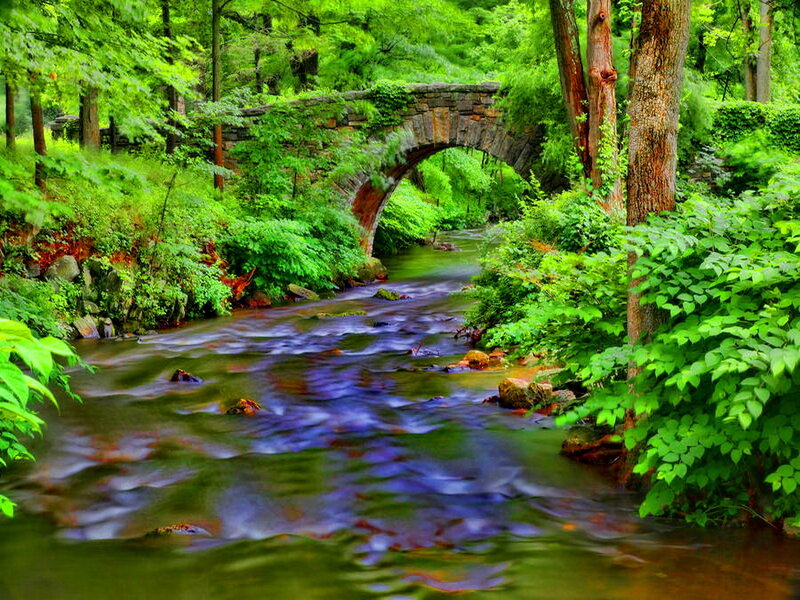 Stream under Stone Bridge — Green, Serene, Spring