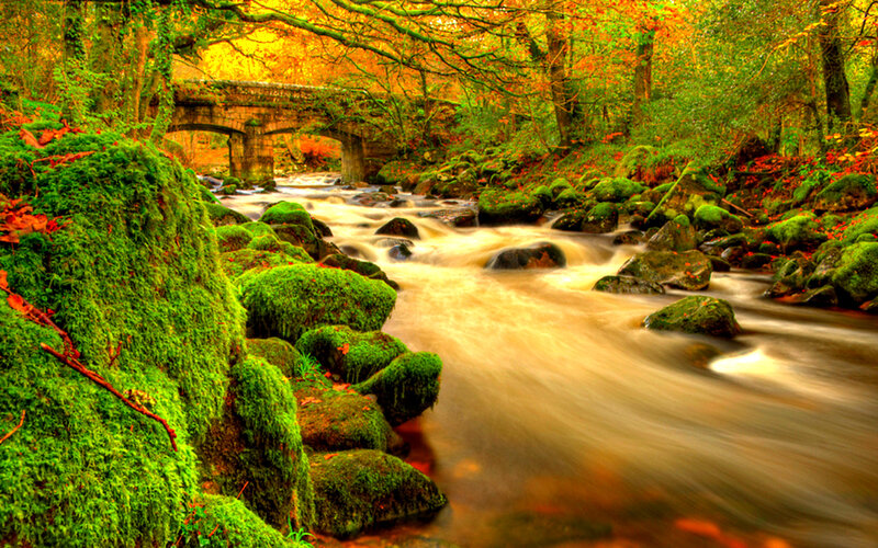 Stream under Stone Bridge — Green, Serene