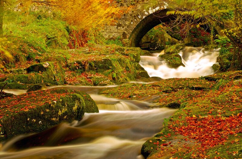 Stream under Stone Bridge — Green