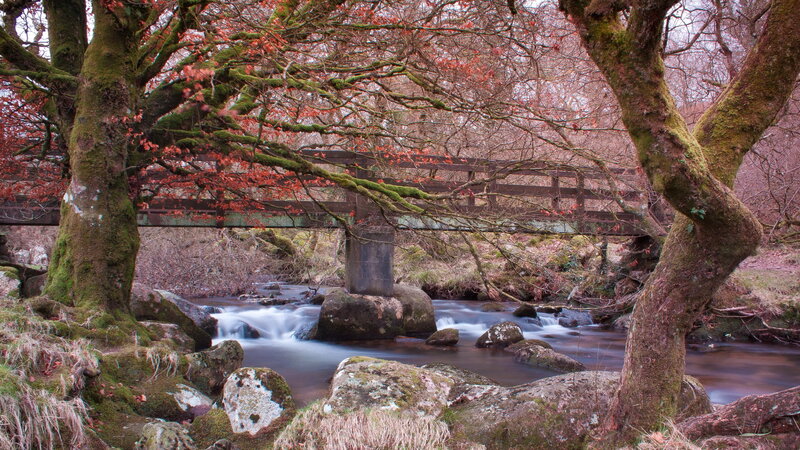 Stream under Wooden Bridge — Green, Serene, Autumn