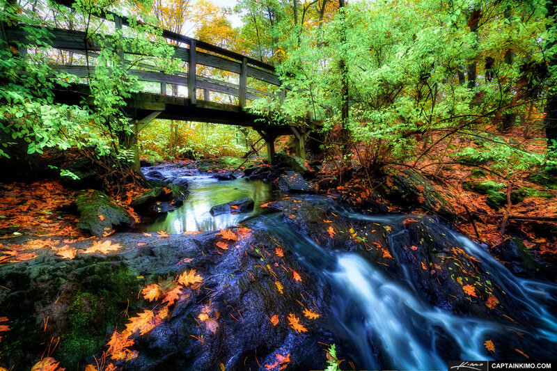 Stream under Wooden Bridge — Green, Serene