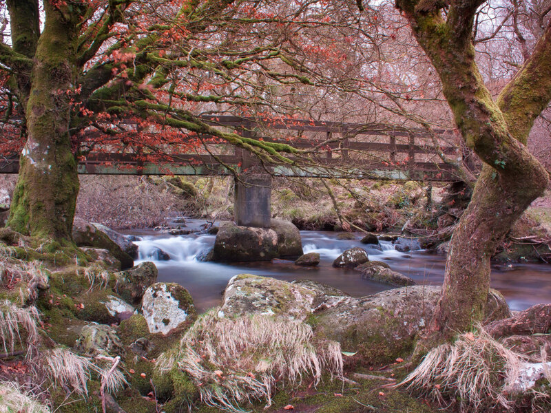 Stream under Wooden Bridge — Green