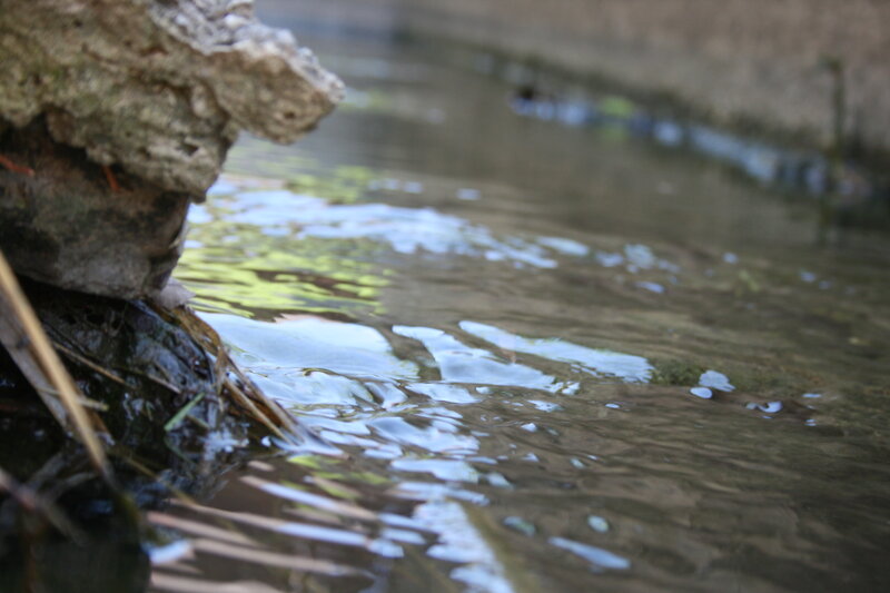 Stream Water and Rock