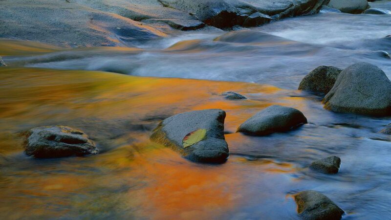 Stream with autumn leaf