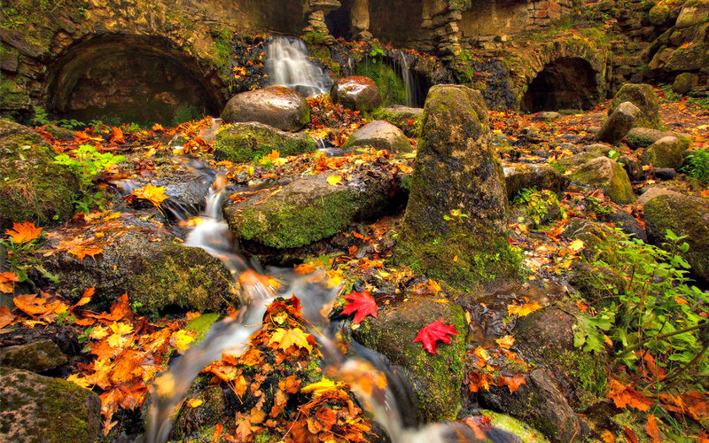 Stream with Autumn Leaves — Orange