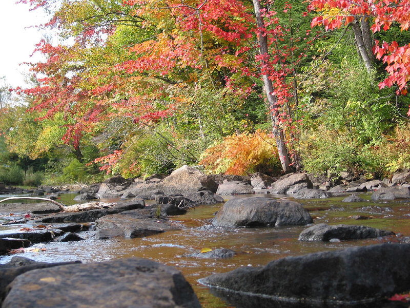Stream with Autumn Trees