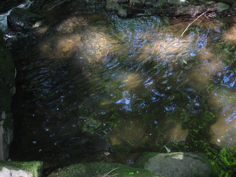 stream with clear water