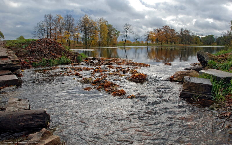 Stream with Fallen Leaves — Brown