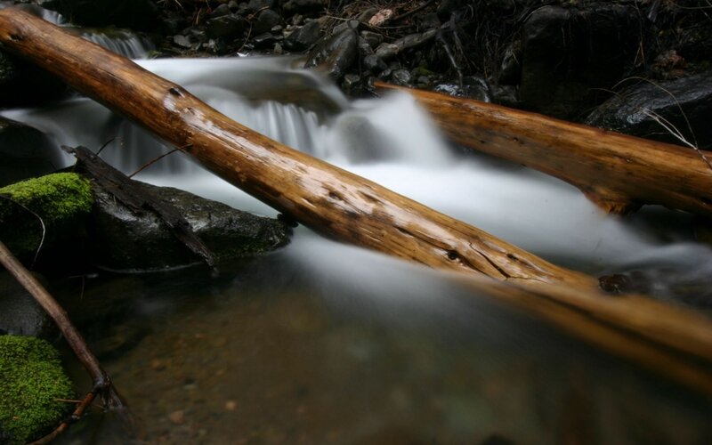 Stream with fallen logs