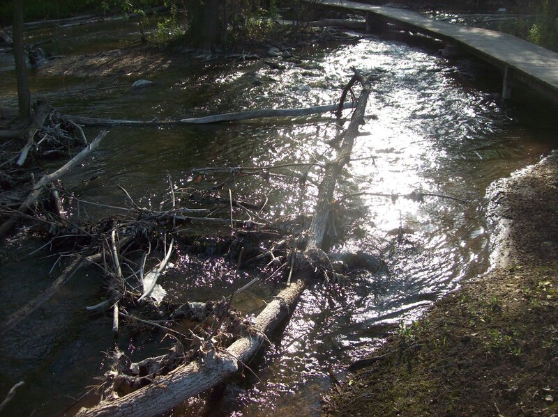 Stream with fallen trees and wooden bridge