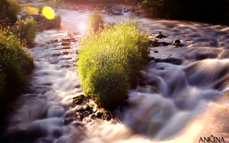 Stream with Grassy Patch