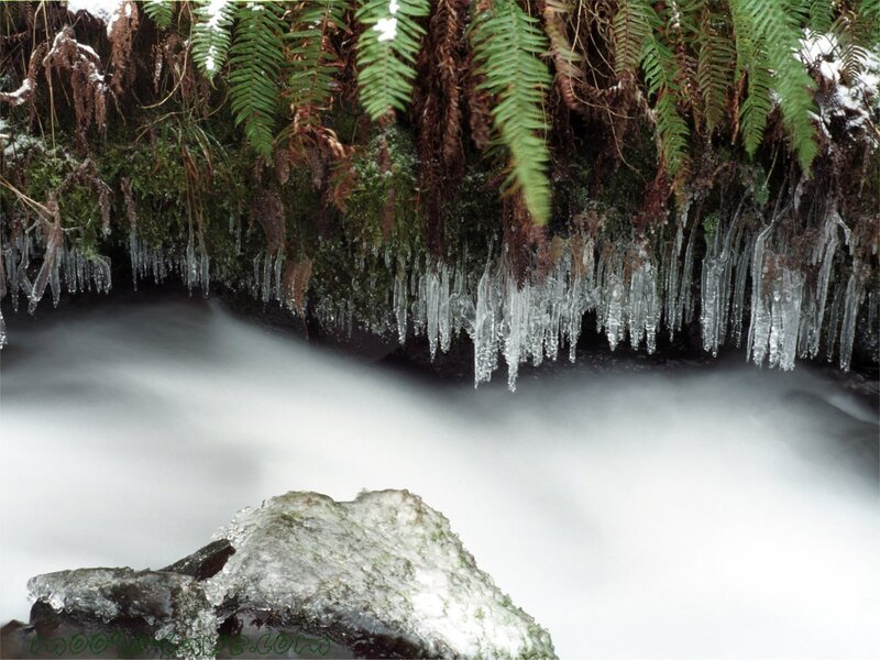 Stream with Ice Formations — Green