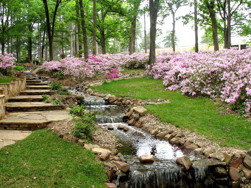 Stream with Pink Flowers — Green, Serene, Spring, Photograph, Trees