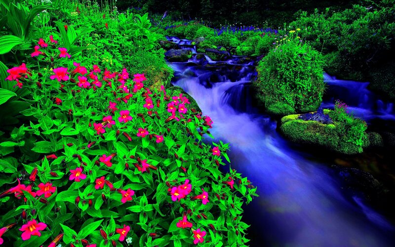 Stream with Pink Flowers — Green, Serene