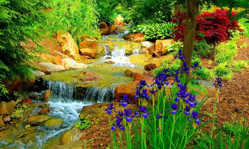 Stream with Purple Irises — Green