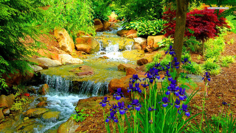 Stream with Purple Irises