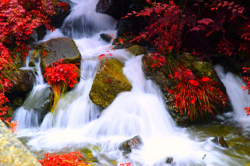 Stream with Red Foliage