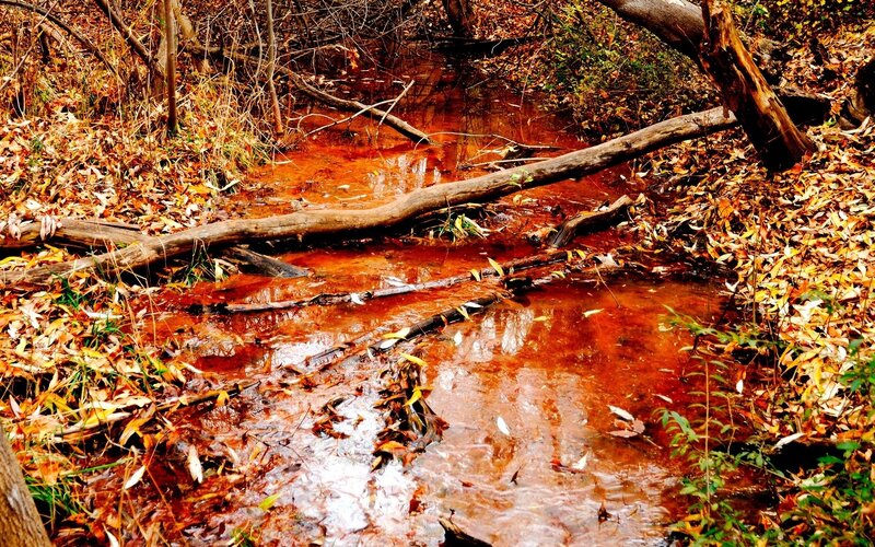 Stream with Red Water