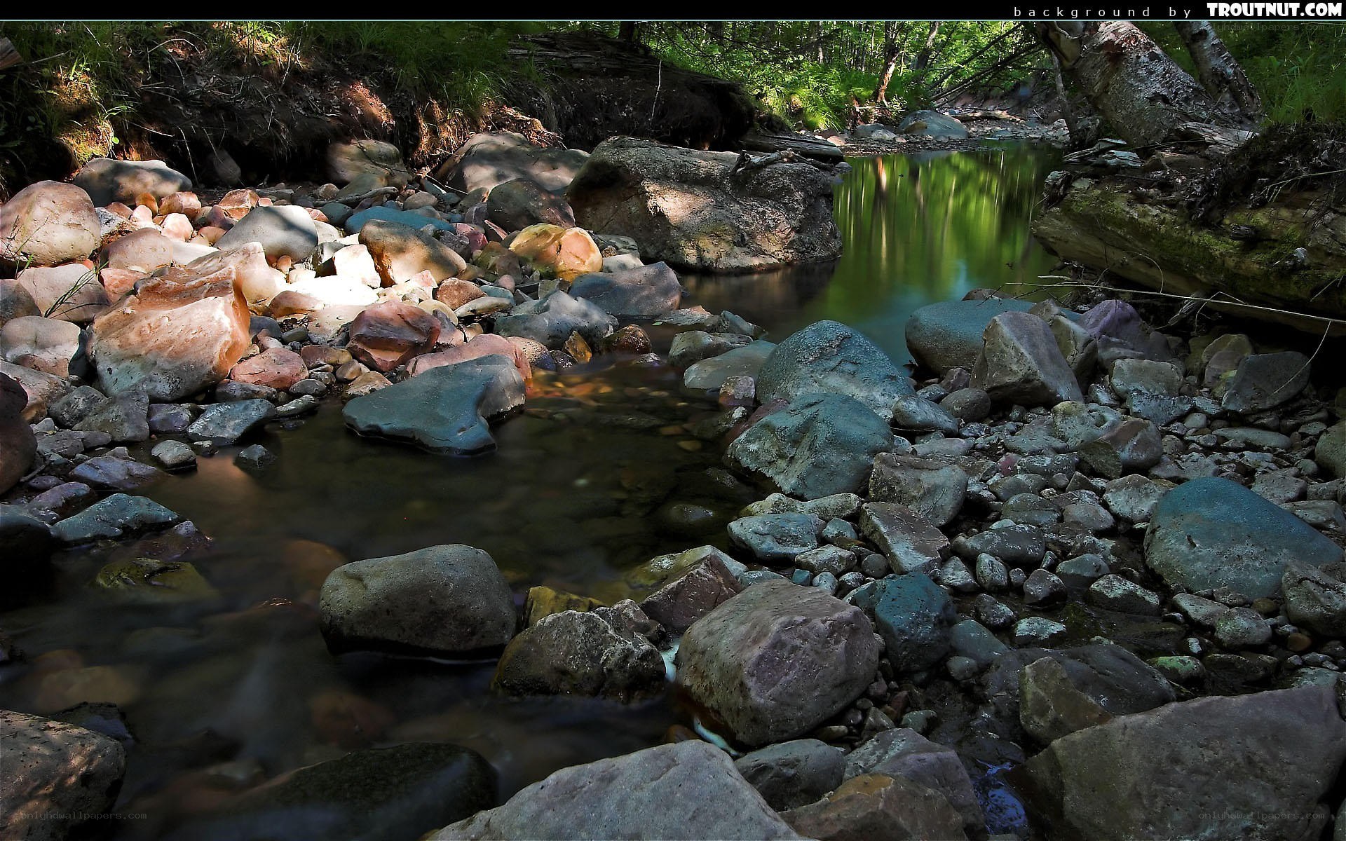 Stream with rocks and green water